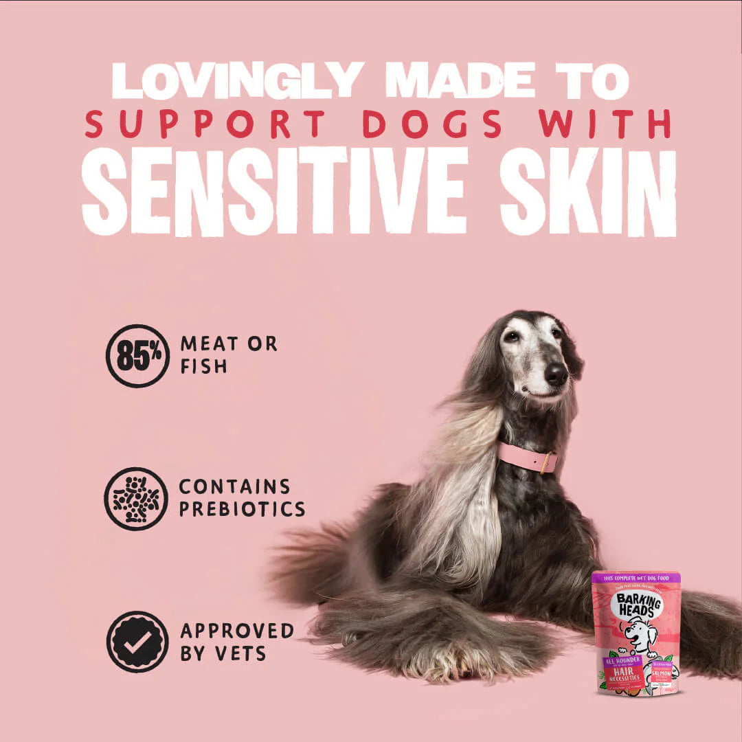Barking Heads Pooched Salmon Adult Wet Dog Food 300 g — 300 g — product view 5