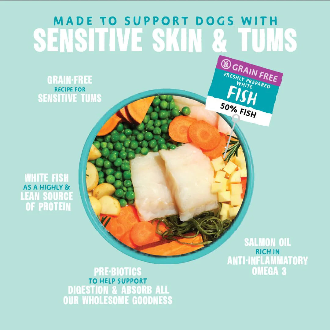 Barking Heads Tummy Loving Care Fish Dry Dog Food — 2 kg — product view 3