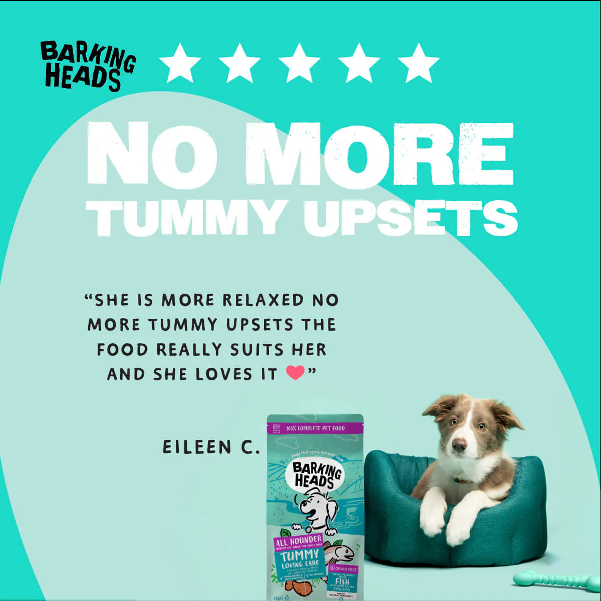 Barking Heads Tummy Loving Care Fish Dry Dog Food — 2 kg — product view 5