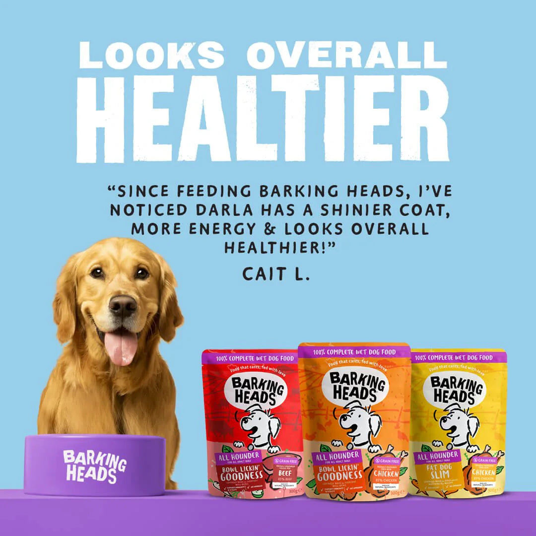 Barking Heads Variety Pack Adult Wet Dog Food 6 × 300 g Pouch — 6 × 300 g — product view 6