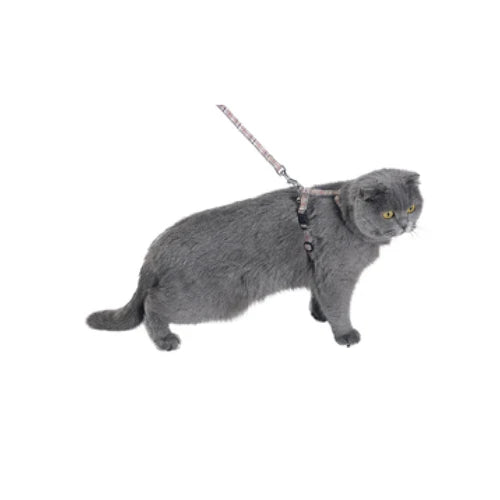 Bobby Kilt Cat Harness & Lead - product detail 2