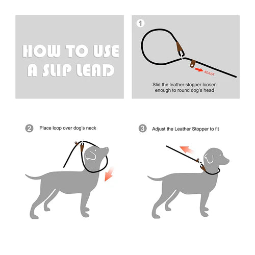 Fida Durable Slip Lead Training Leash – 1.8 m - product detail 5