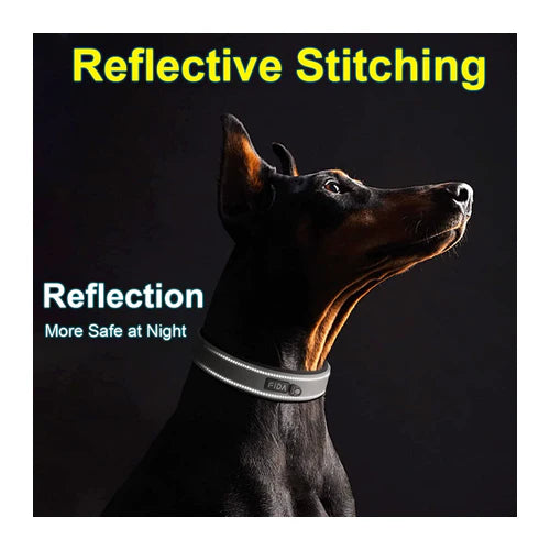 Fida Heavy Duty Reflective Dog Collar - product detail 4