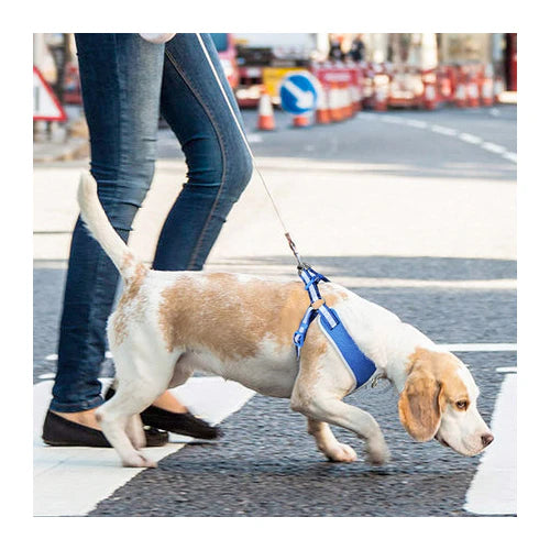 Fida Reflective Step-In Dog Harness - product detail 7