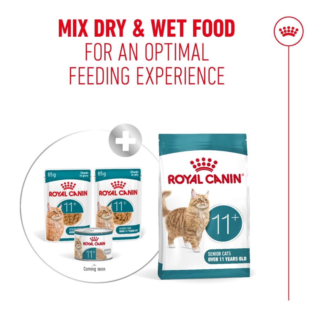 Royal Canin cat food packaging to Mix Wet Food With Dry Food