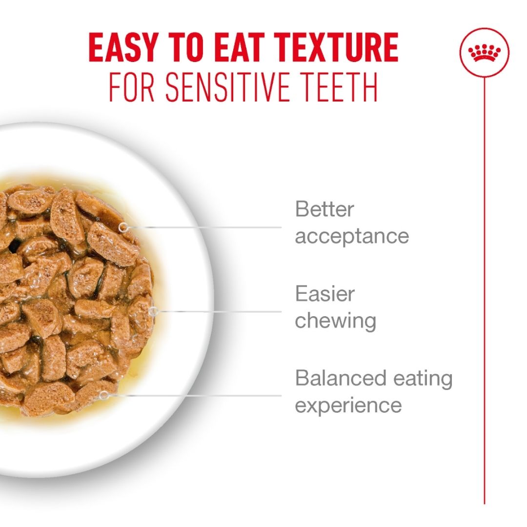 Cat food with text highlighting easy-to-eat texture for sensitive teeth on a white background