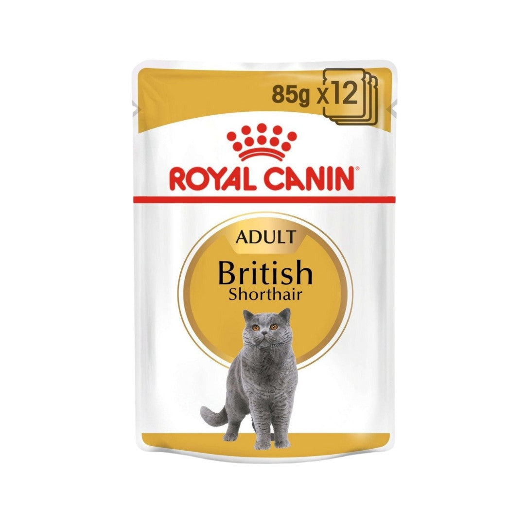 Royal Canin Feline Breed Nutrition British Shorthair Adult in Gravy Wet Cat Food Pouches 12 x 85 g