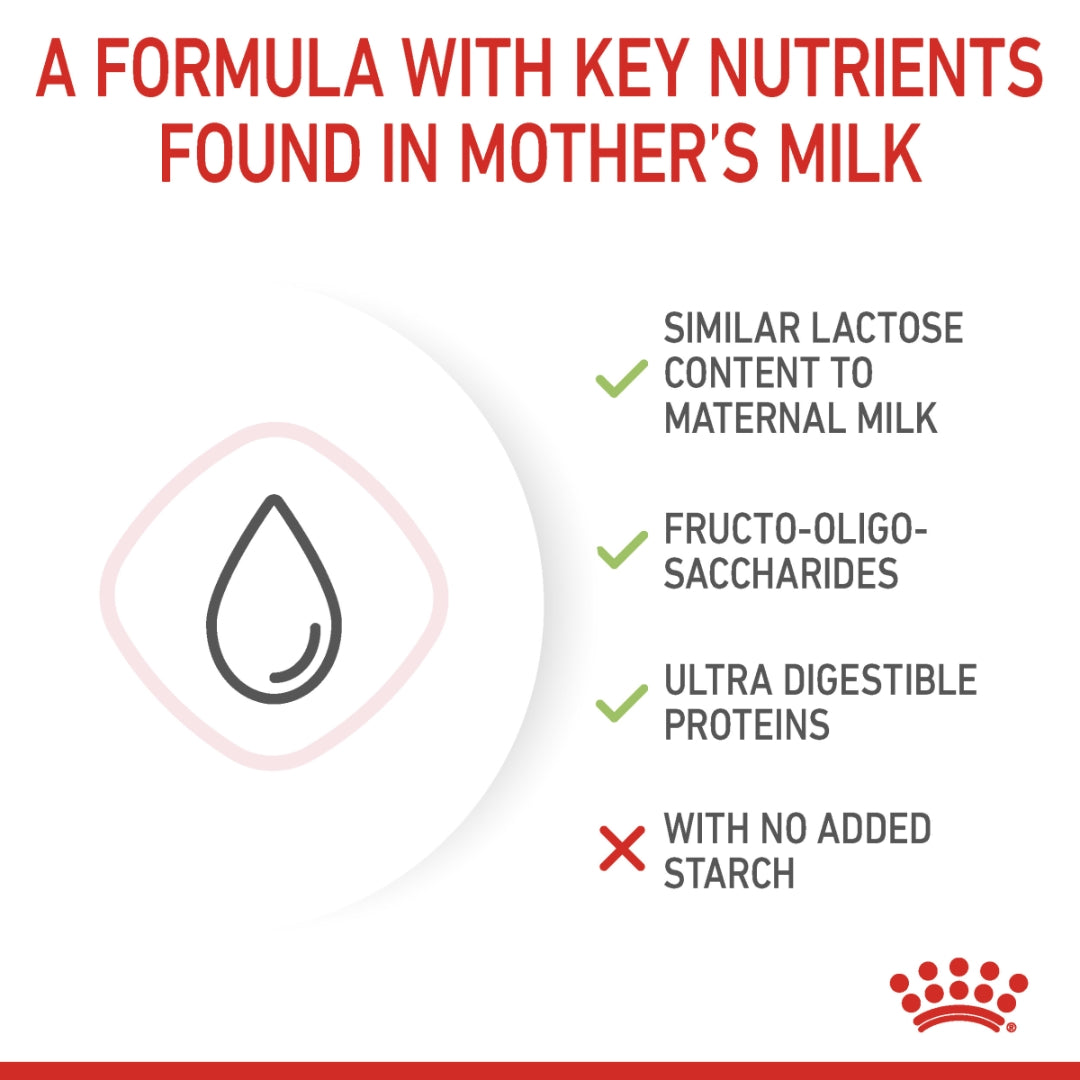 Formula with key nutrients found in mother's milk on a white background