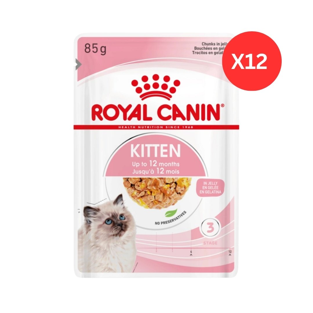 Royal Canin Kitten in Jelly Wet Cat Food