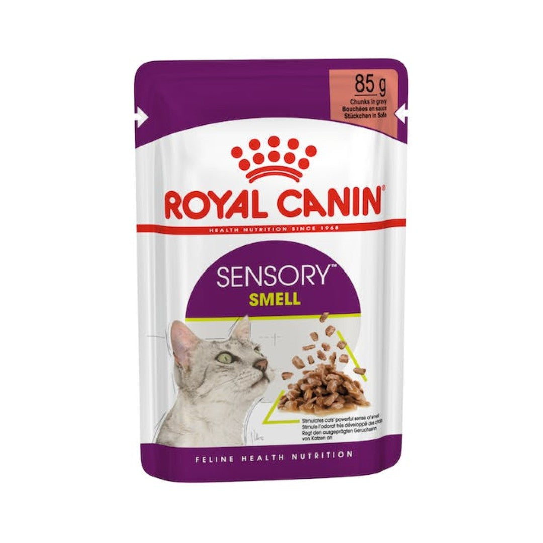 Royal Canin Feline Health Nutrition Sensory Smell Chunks In Gravy Cat Wet Food 12 x 85 g