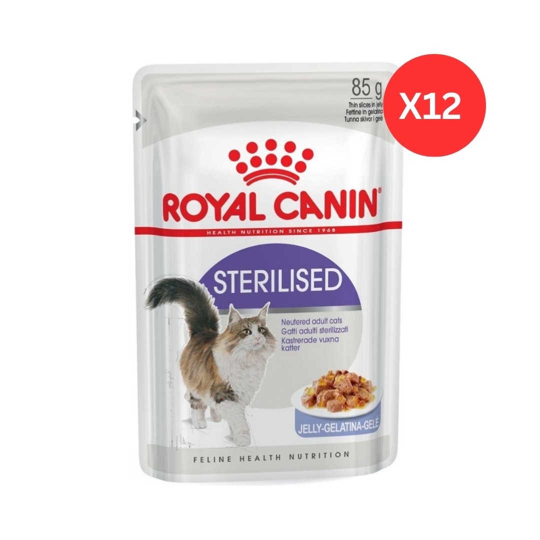 Royal Canin Feline Health Nutrition Sterilised in Jelly Wet Cat Food Pouches 12 x 85 g