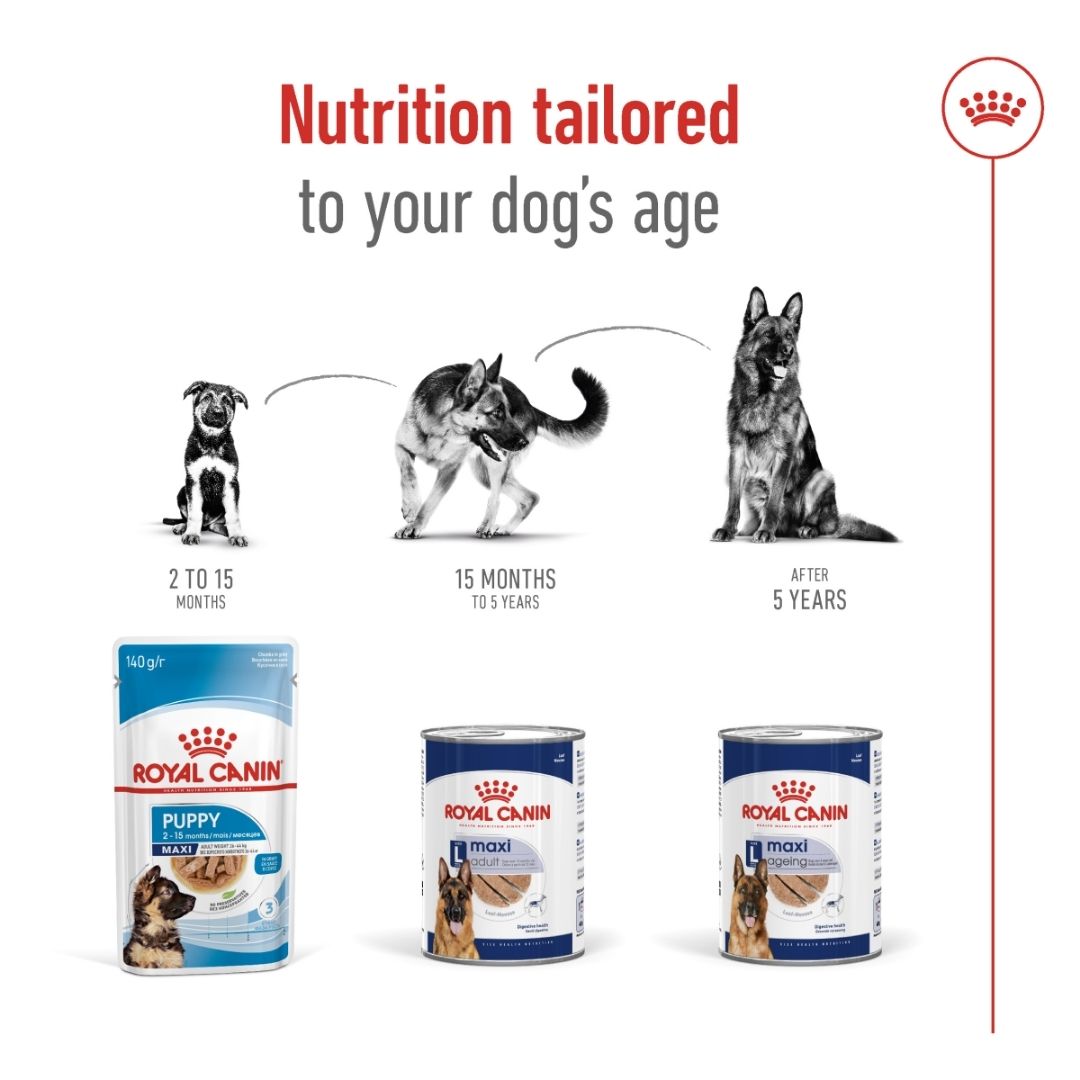 Royal Canin dog food products with age recommendations on a white background