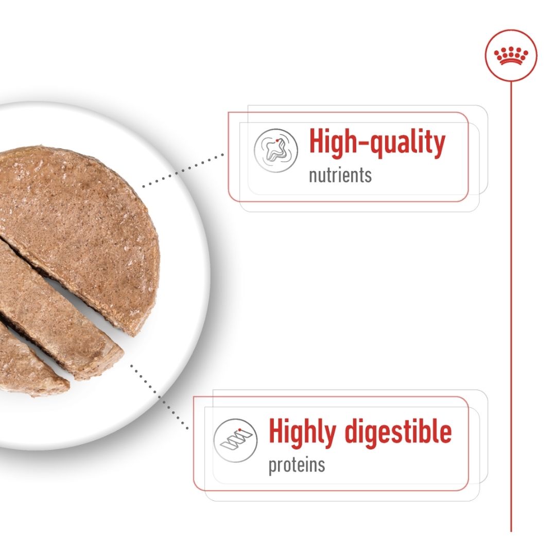 Brown food item on a white plate with text highlighting high-quality nutrients and highly digestible proteins.