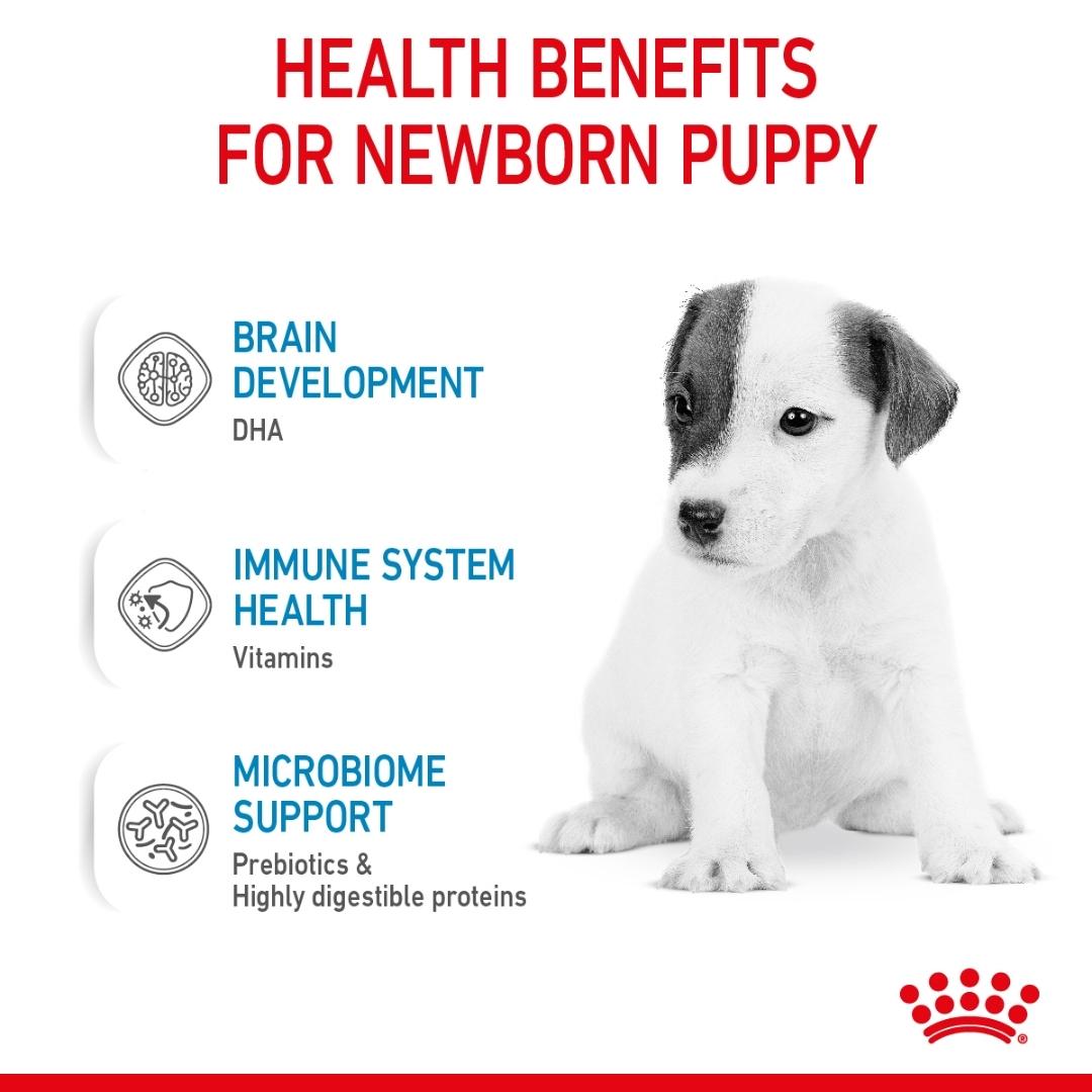 Royal Canin Size Health Nutrition Babydog Milk 400 g Benefits