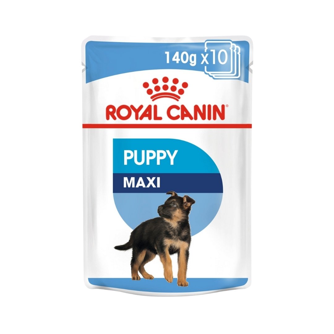 ROYAL CANIN® Size Health Nutrition Maxi Puppy in Gravy Wet Puppy Food Pouches 10 x 140 g
