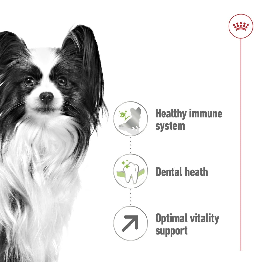 ROYAL CANIN® Size Health Nutrition XS Adult 8+ Dry Dog Food 1.5 kg Benefits