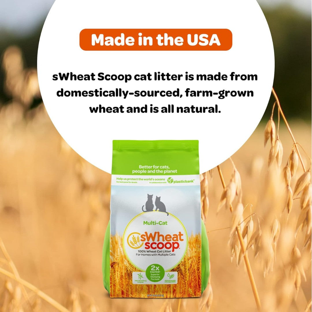 Elevate Your Cat's Comfort with sWheat Scoop Premium Multi-Cat Litter. Revolutionize your multi-cat household with sWheat Scoop's natural, unscented Multi-Cat litter.