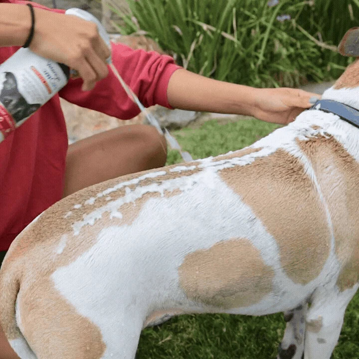 Vetericyn FoamCare Spray-On Pet Shampoo & Conditioner — official product view 3