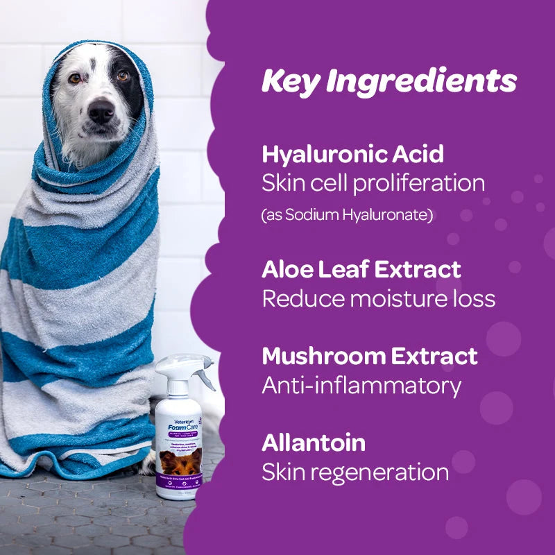 Vetericyn FoamCare Spray-On Pet Shampoo & Conditioner — label and product information