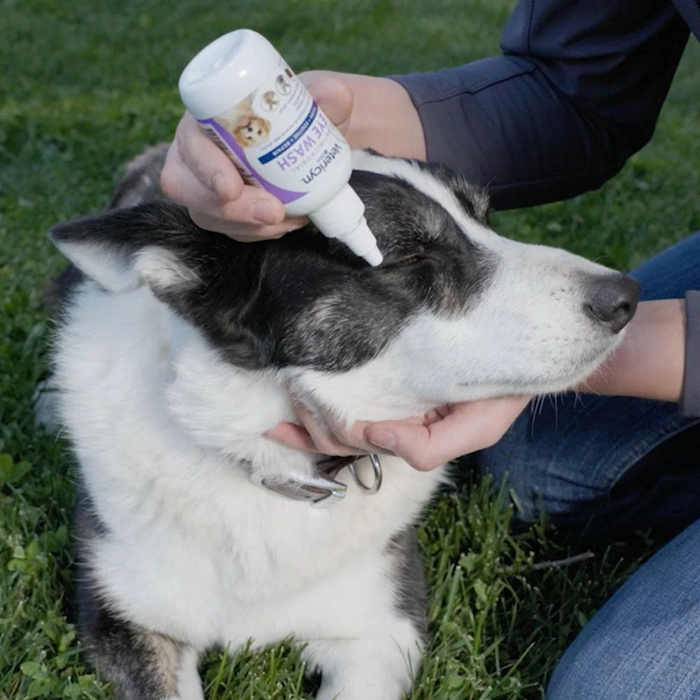 Vetericyn Plus All Animal Antimicrobial Eye Wash — product use and benefits