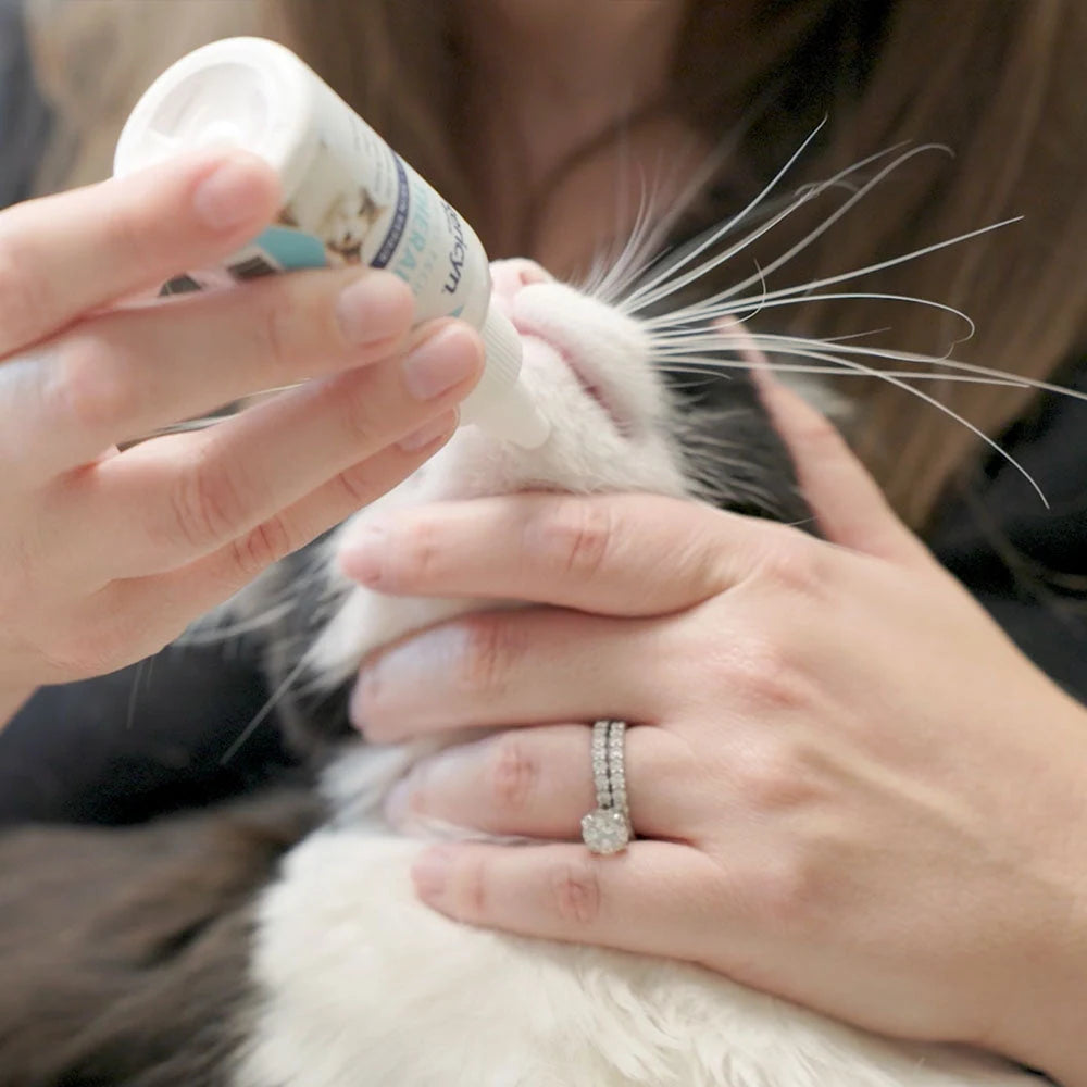 Vetericyn Plus Feline Antimicrobial Facial Therapy — product use and benefits