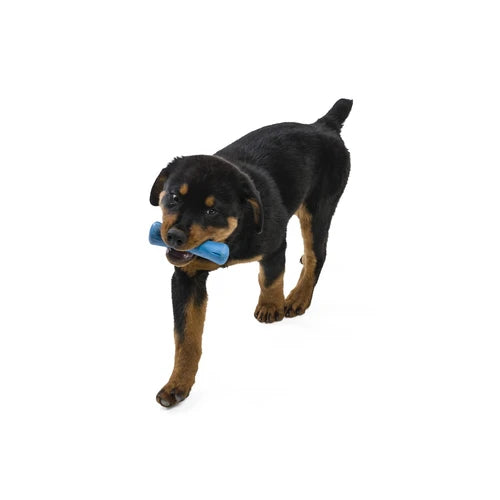 West Paw Drifty Seaflex Dog Toy - product detail 8