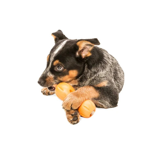 West Paw Qwizl Treat Toy - product detail 6