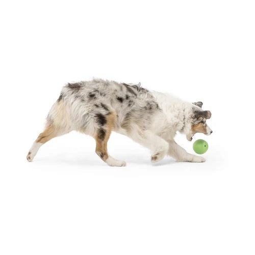 West Paw Rando Dog Toy - product detail 5
