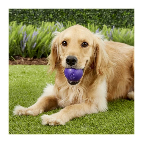 West Paw Rando Dog Toy - product detail 8