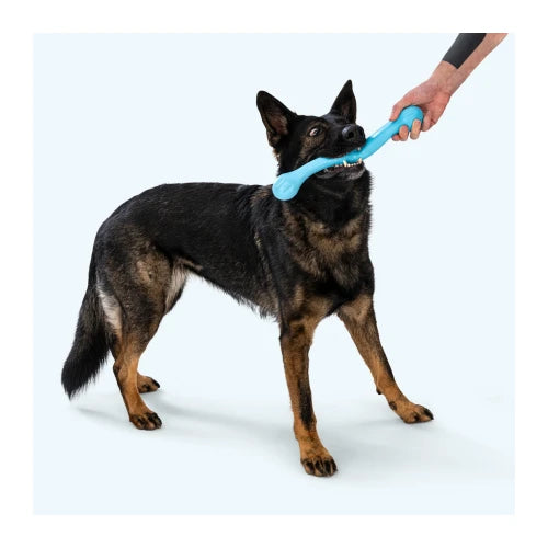 West Paw Zwig Dog Toy - Tangerine