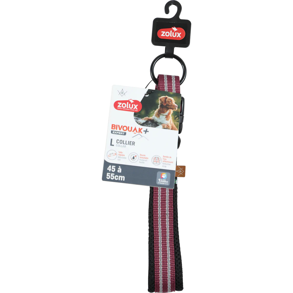 Zolux BVK Collar, 20 mm - Red / 45-55 cm