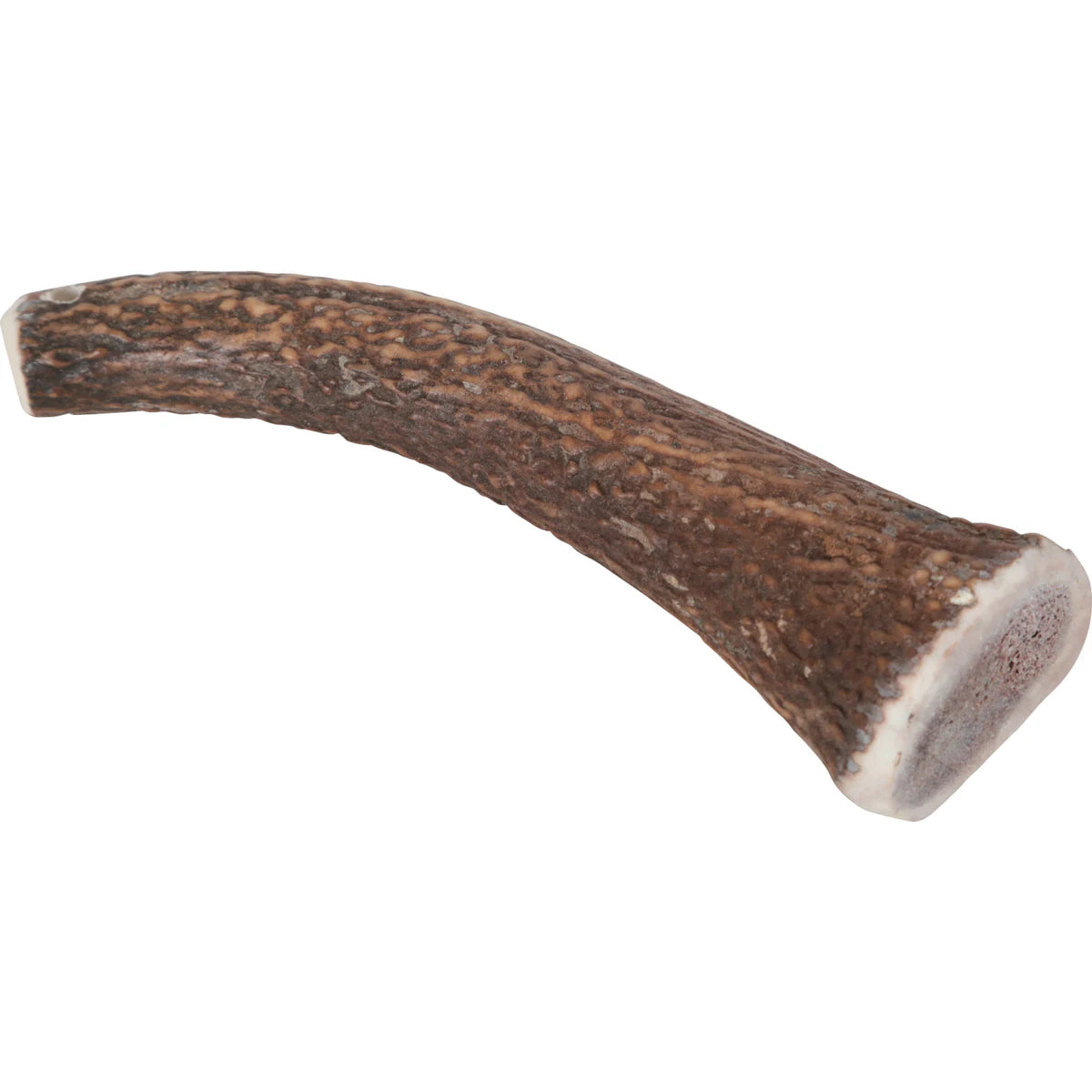 Zolux Natural Deer Antler Hard for Dogs Over 20 kg - additional product view