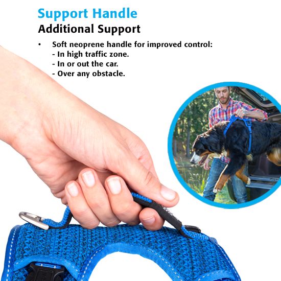 The Rogz Utility Explore Harness is designed to keep your canine companion cozy while offering you added control 2.