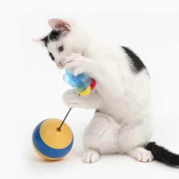 Catit Tumbler Bee Interactive Cat Toy - product view 2