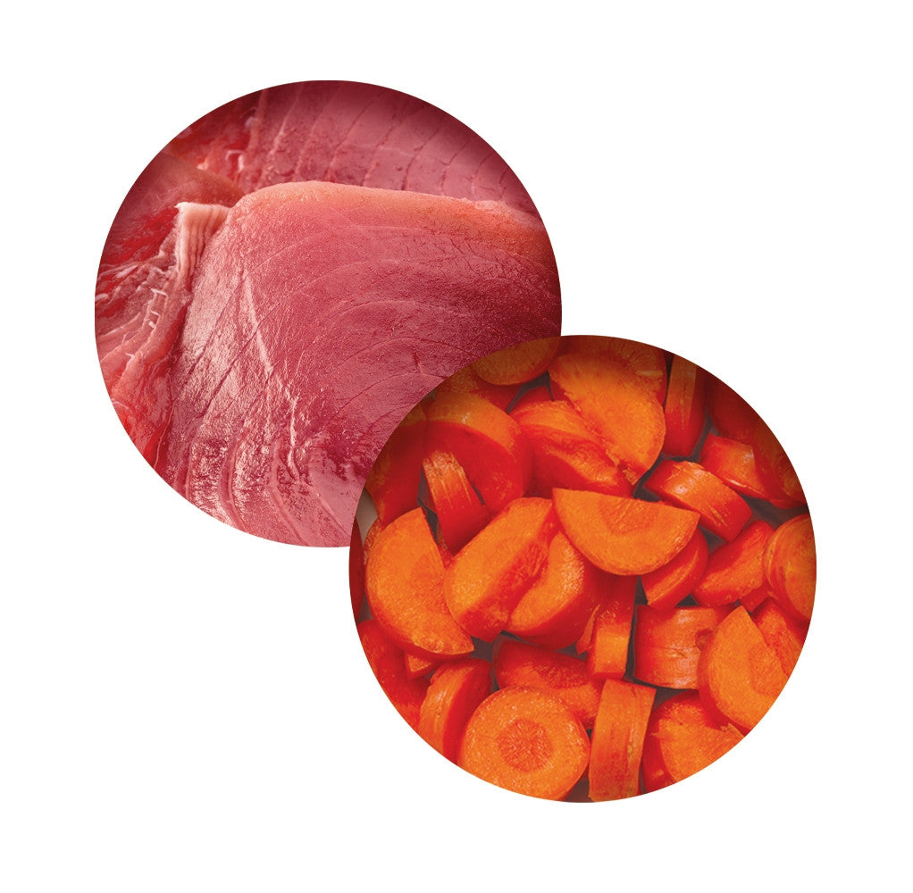 Catit Cuisine Fish Dinner with Tuna & Carrot Cat Wet Food - product view 2