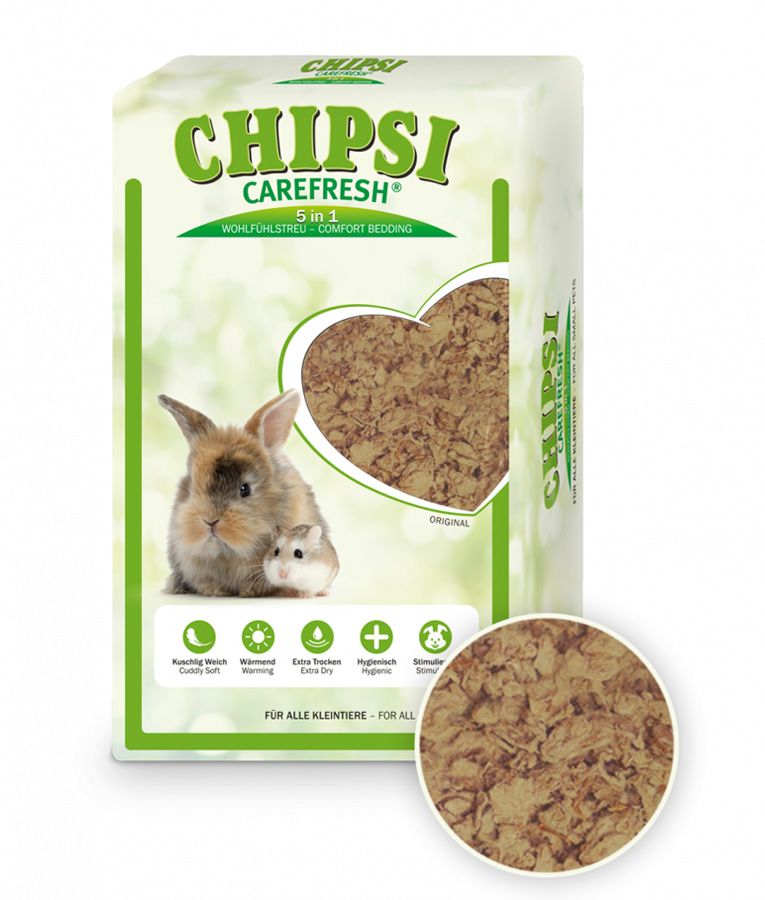 Pet litter in Dubai