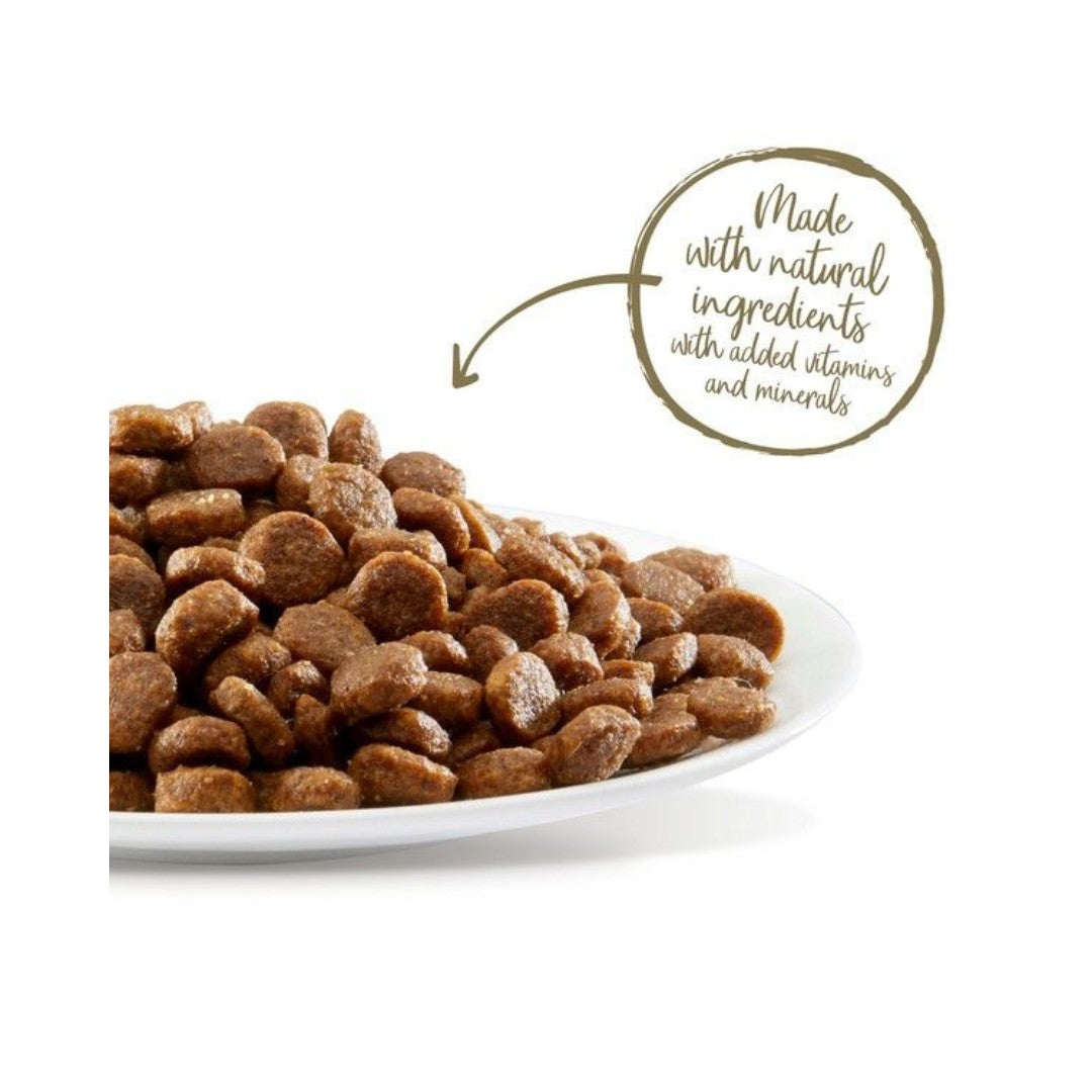 Applaws Kitten Chicken Dry Food - Actual Food