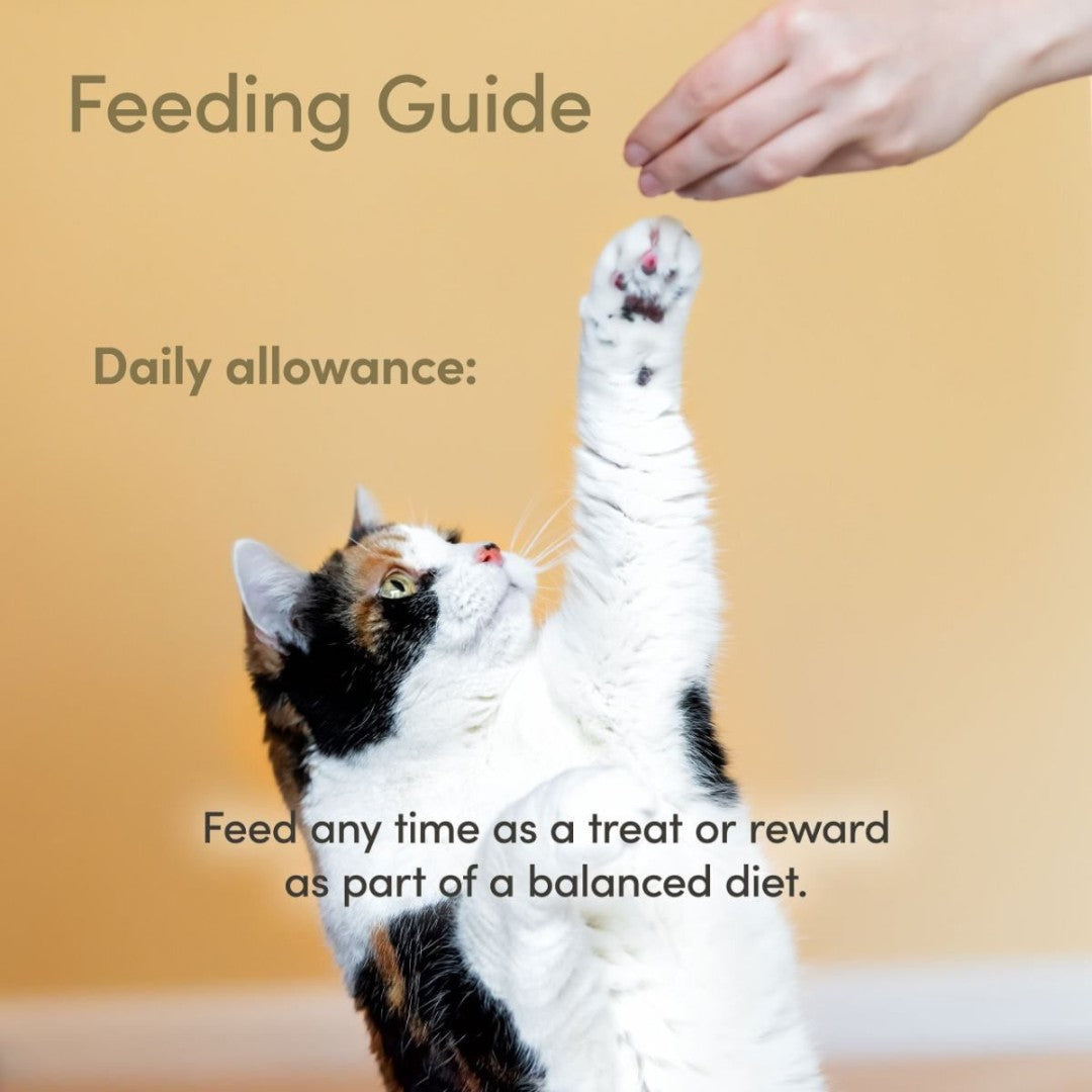 Applaws Tuna Loin Cat treats - Feeding Guide