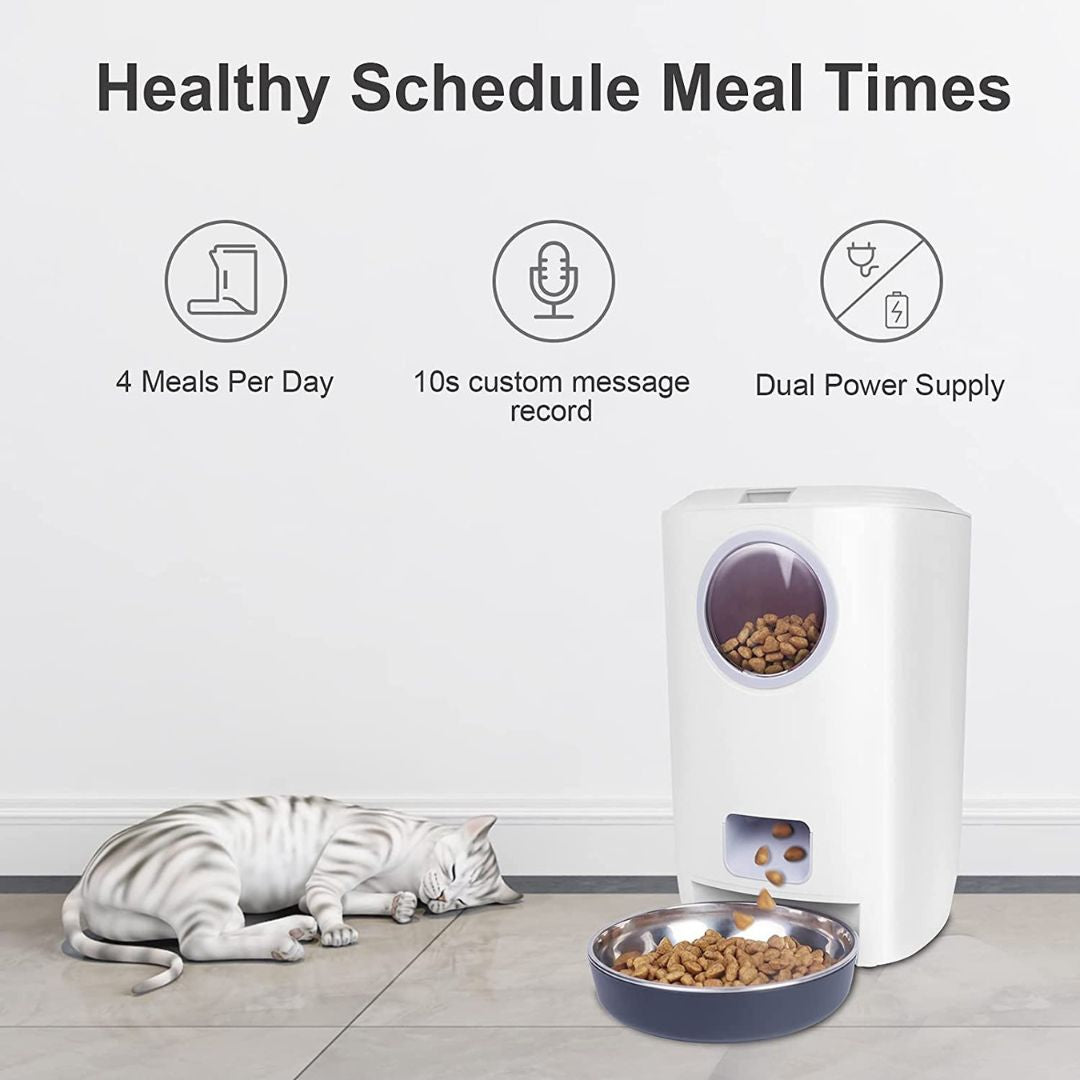 Automatic Pet Feeder With Clear Window 4.5L Petz.ae 3