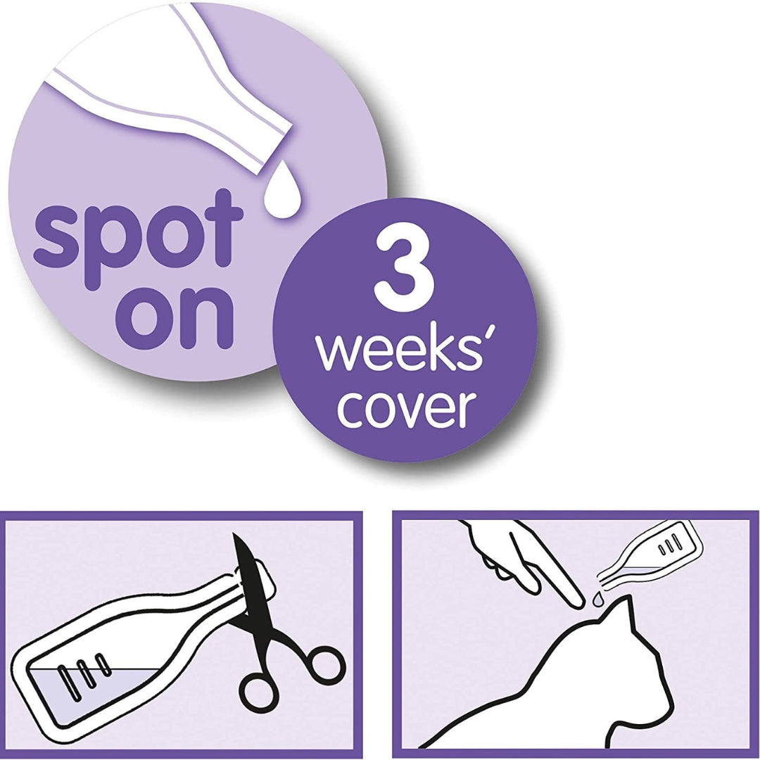 Beaphar Cat Calming Spot On - product image 3