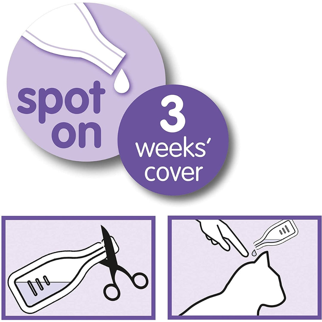 Beaphar Dog Calming Spot - product image 3