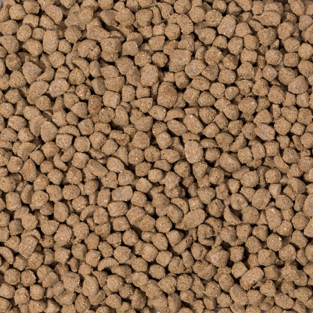 Beaphar Care+ Rabbit Junior Food - product image 2