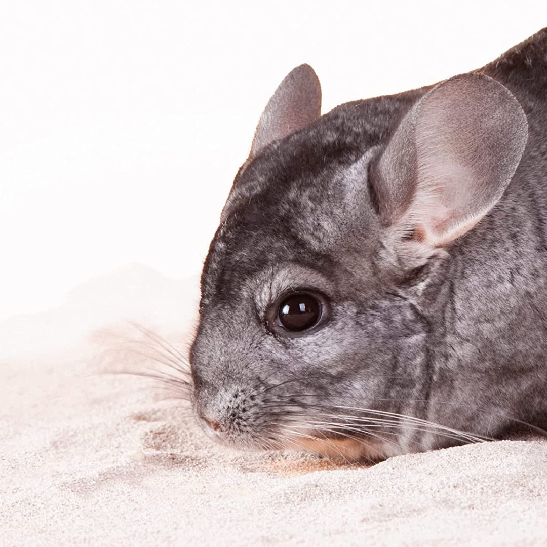 Beaphar Chinchilla Bathing Sand - product image 3