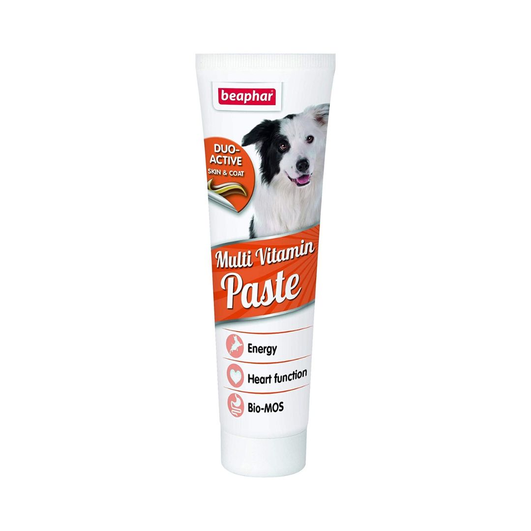 Beaphar Dog Duo Active Paste Multivitamin - front packaging