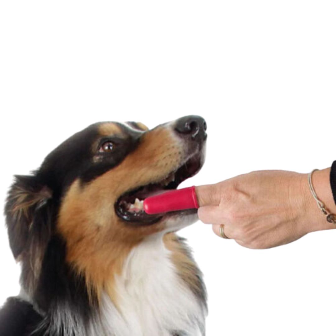 Beaphar Finger Toothbrush for Dogs - product image 3