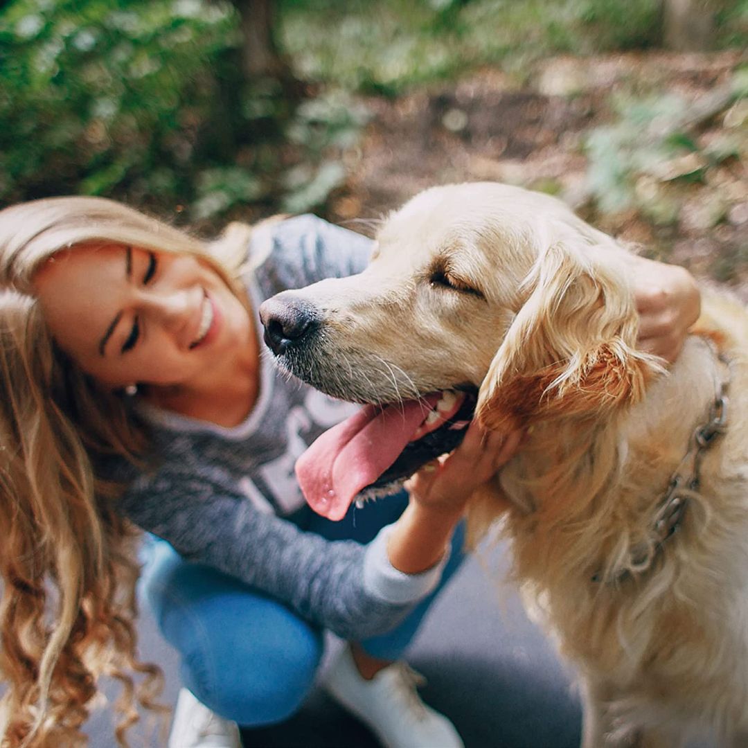 Beaphar Multi-Vit with Carnitine Dog Vitamins - product image 3