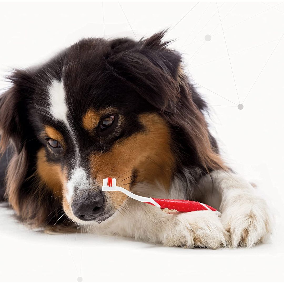 Beaphar Toothbrush For Dogs and Cats - product image 2