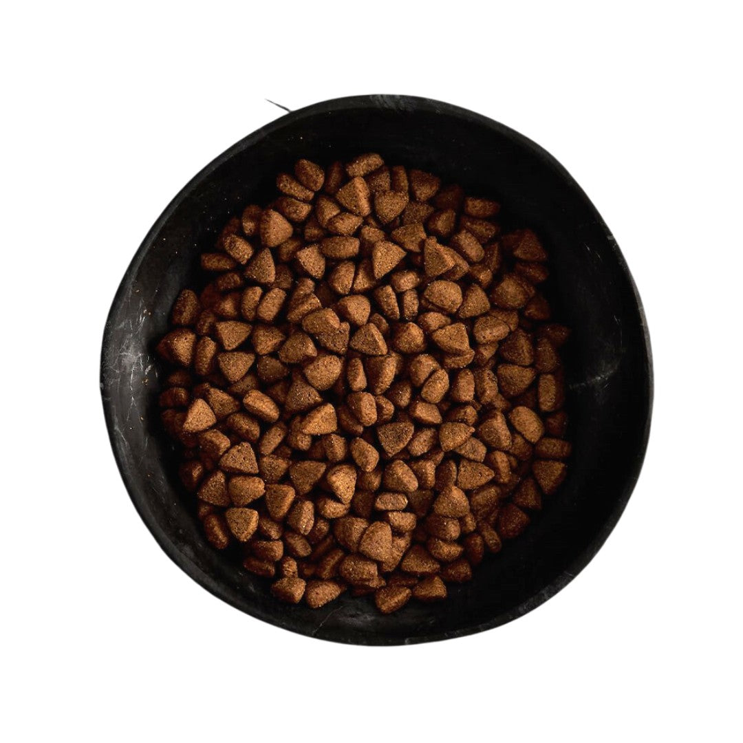 Buy Canagan Free Range Chicken Dog Dry Food | Kibble Size