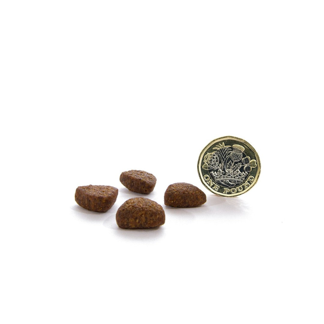 Canagan Free Range Chicken Dog Dry Food - Kibble Size