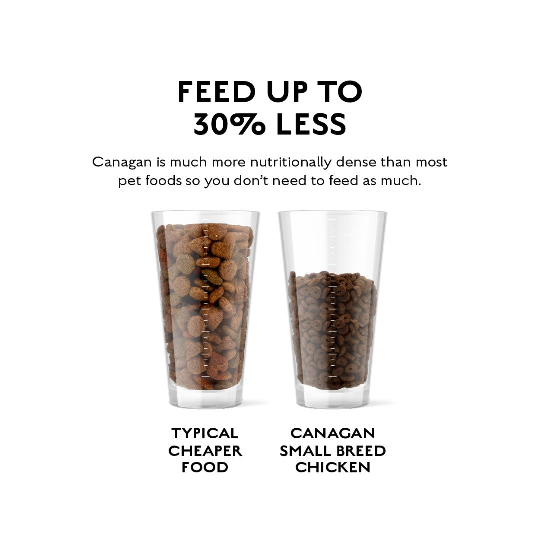 Shop Canagan Free Range Chicken Small Breed Dog Dry Food